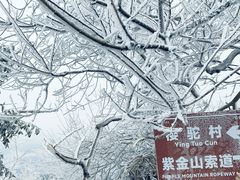 -紫金山山顶公园