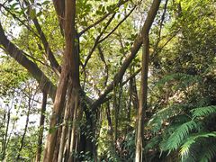 景点-云溪植物园