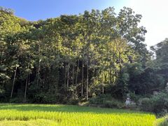 -高荡千年布依古寨旅游景区