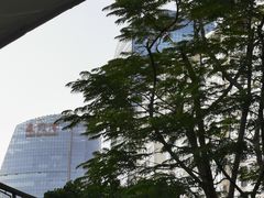 -厦门邮轮中心厦鼓码头(轮渡站)