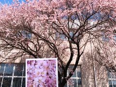 -吉林大学(南岭校区)