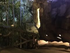 -裕龙汤泉