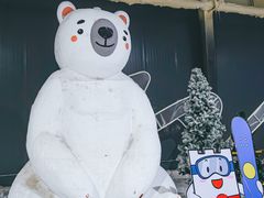 -宁波冰雪大世界(北仑区)