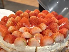 -O'eat Blossom&Pelican(深圳首店)