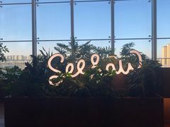 -Seesaw Coffee(朝阳大悦城店)