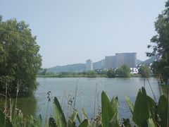 -长兴太湖图影湿地文化园