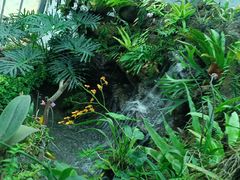 -东莞植物园
