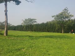 -汉长安城未央宫国家考古遗址公园