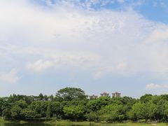 -东莞植物园