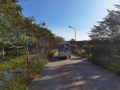 -亚龙湾国际玫瑰谷