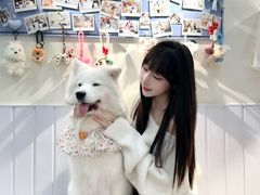 -汪说·狗咖·拼豆·宠物周边DIY(旺城大厦店)