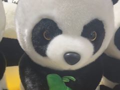 -宁波野生动物园
