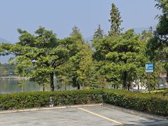 -飞来湖湿地公园