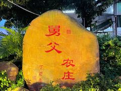 门面-肥舅父農莊