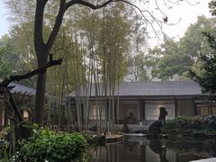 -南山植物园