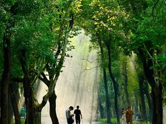 -东湖落雁景区