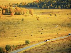 -塞罕坝国家级自然保护区