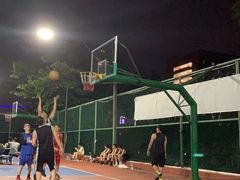 -金湖花园篮球场