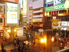 -蟹道乐(道顿堀本店)