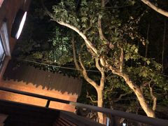 -Boxing Cat Brewery拳击猫精酿啤酒馆(永福店)