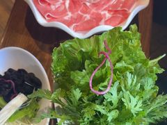 -快乐小羊(富强中路店)