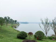 -星巴克(成都科学城店)