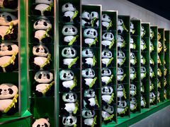 -沈阳森林动物园