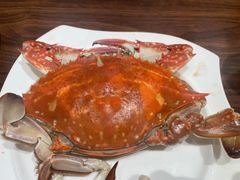 -北塘海鲜·天津菜(大光明桥旗舰店)