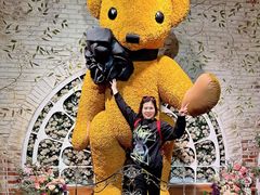 -济州岛泰迪熊博物馆