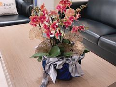 -花邻FloweringLife花艺气球派对(武康大楼店)