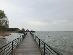 -莲花岛景区