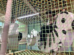 -奈尔宝·儿童乐园·亲子餐厅(长沙北辰荟店)