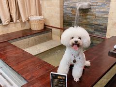 -三江森林温泉度假区