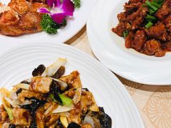-凯鸽酒楼(水泉湾龙园店)