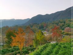 -塔川景区