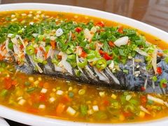 飞虹鱼-飞虹鱼馆(春华路店)