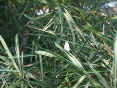 -帐篷客·溪龙茶谷度假酒店