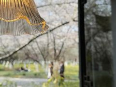 -范蠡湖公园