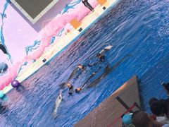 -北戴河圣蓝海洋公园