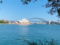 -麦考利夫人座椅