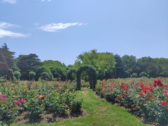 -上海滨江森林公园