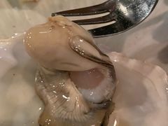 -斯普汇生蚝牛排馆(中骏世界城店)