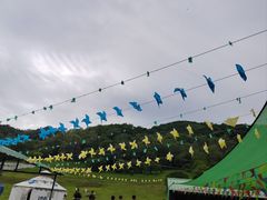 -大水川景区