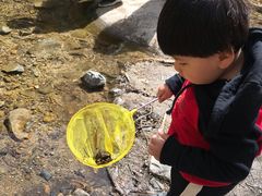 -碓臼峪自然风景区