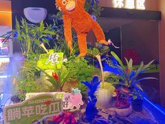 -涨巢·潮玩水疗局