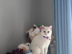 -张翻越·川渝冒菜·武汉黑鸭煲(城北万象城店)