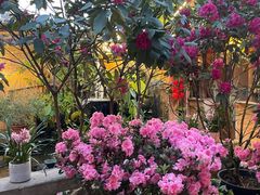 -园林美食城·本土农家菜(杨和镇店)