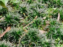 -小八仙·宴(三峡茶庄店)