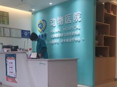 -美迦爱-牙专科·兔科·骨科诊疗中心(北苑店)