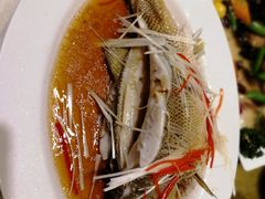 清蒸鲈鱼-北平小馆·烤鸭·家常菜(磨房北里店)